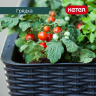 Готовая грядка на ножках Изи гроу (EASY GROW) коричневая