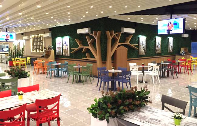 Стул пластиковый XSera-S голубой 490х550х840 мм