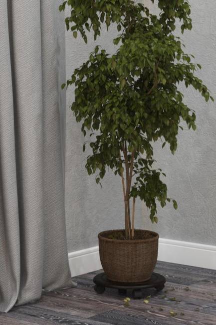 Комплект подставок напольных на колесах Калифорния Спираль, венге